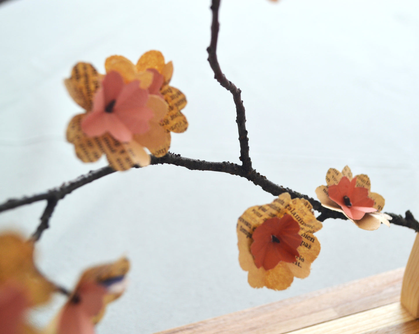 Branche posée, origami fleur sakura