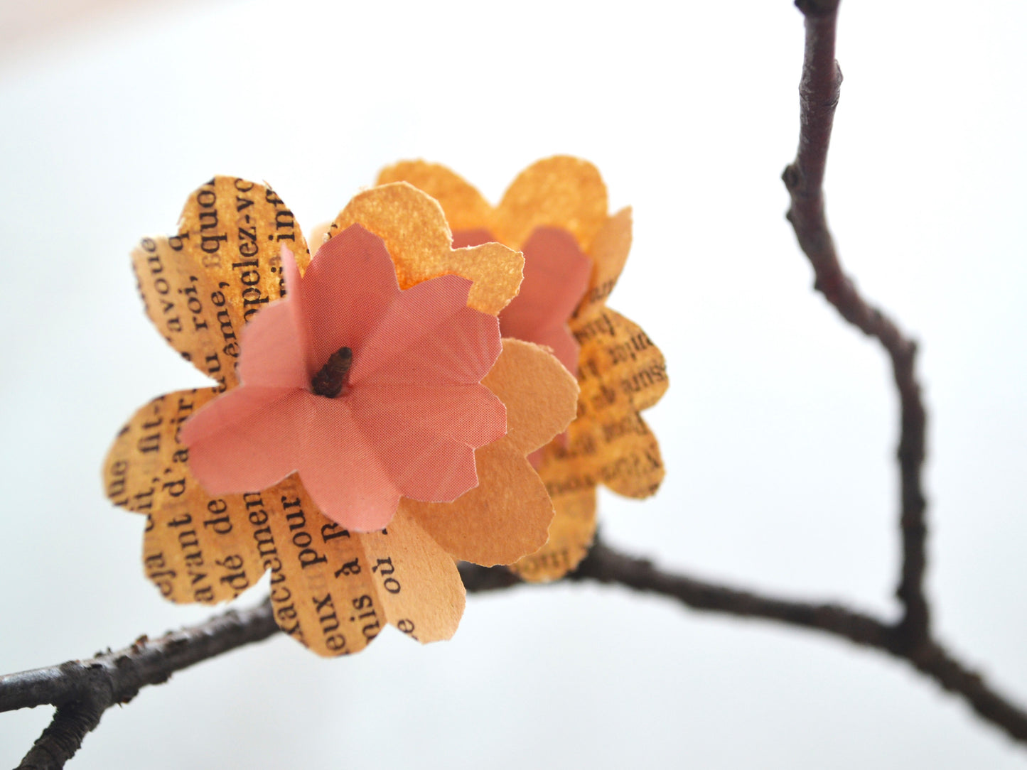 Branche posée, origami fleur sakura